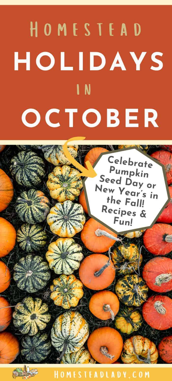 mulit colored October pumpkins