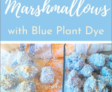 snowball marshmallows with blue plant dye rolled in coconut sitting on a plate