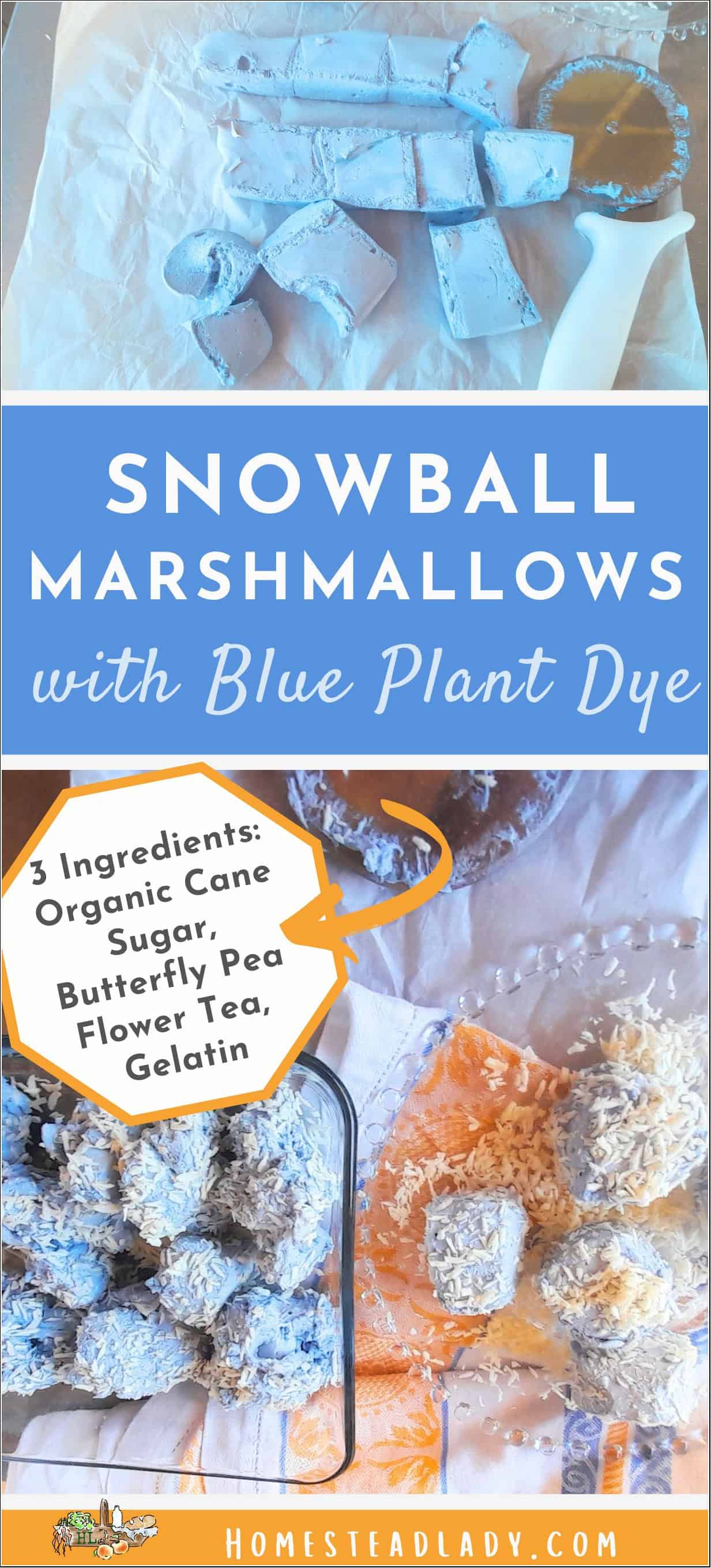 snowball marshmallows with blue plant dye sitting on a plate; marshmallows cut on a table