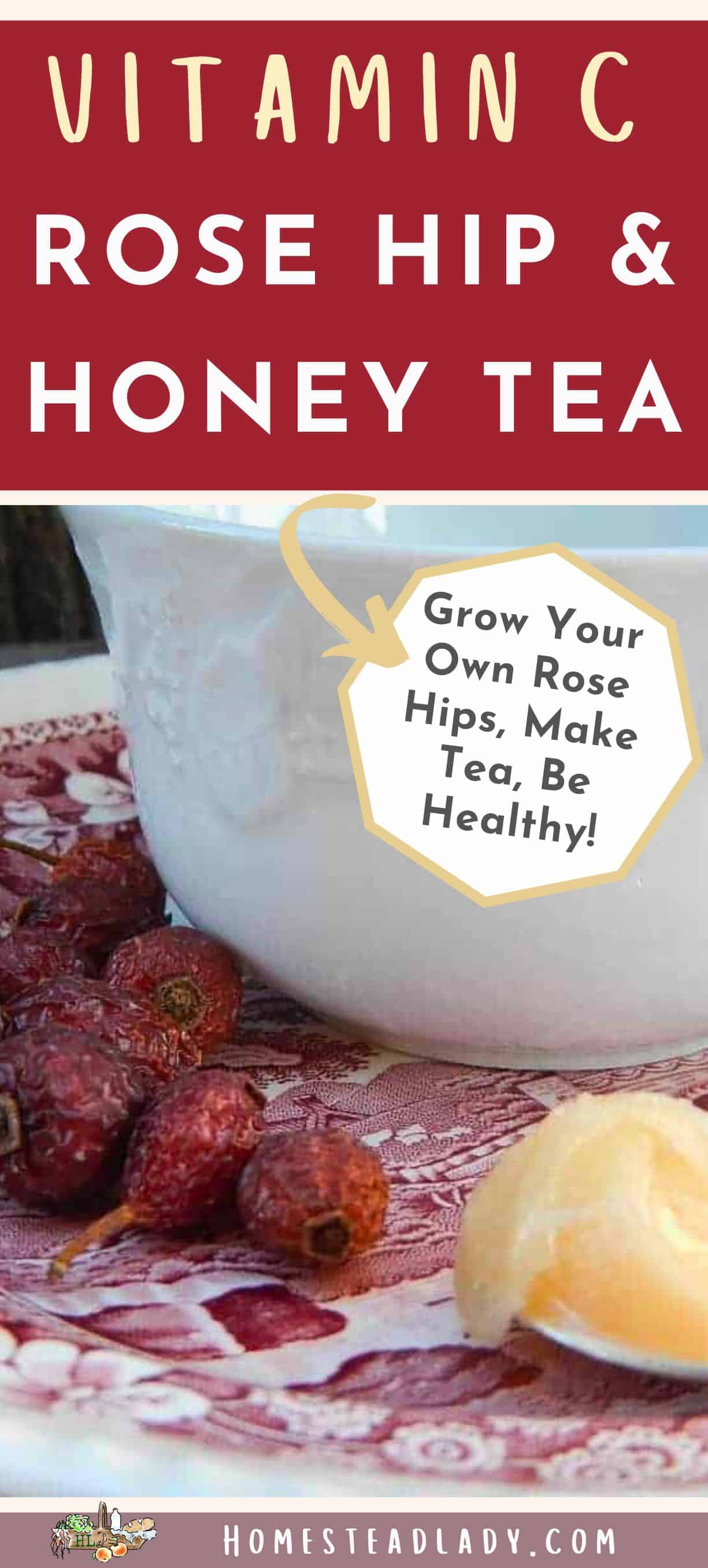 rose hips and honey with a cup of rose hip tea