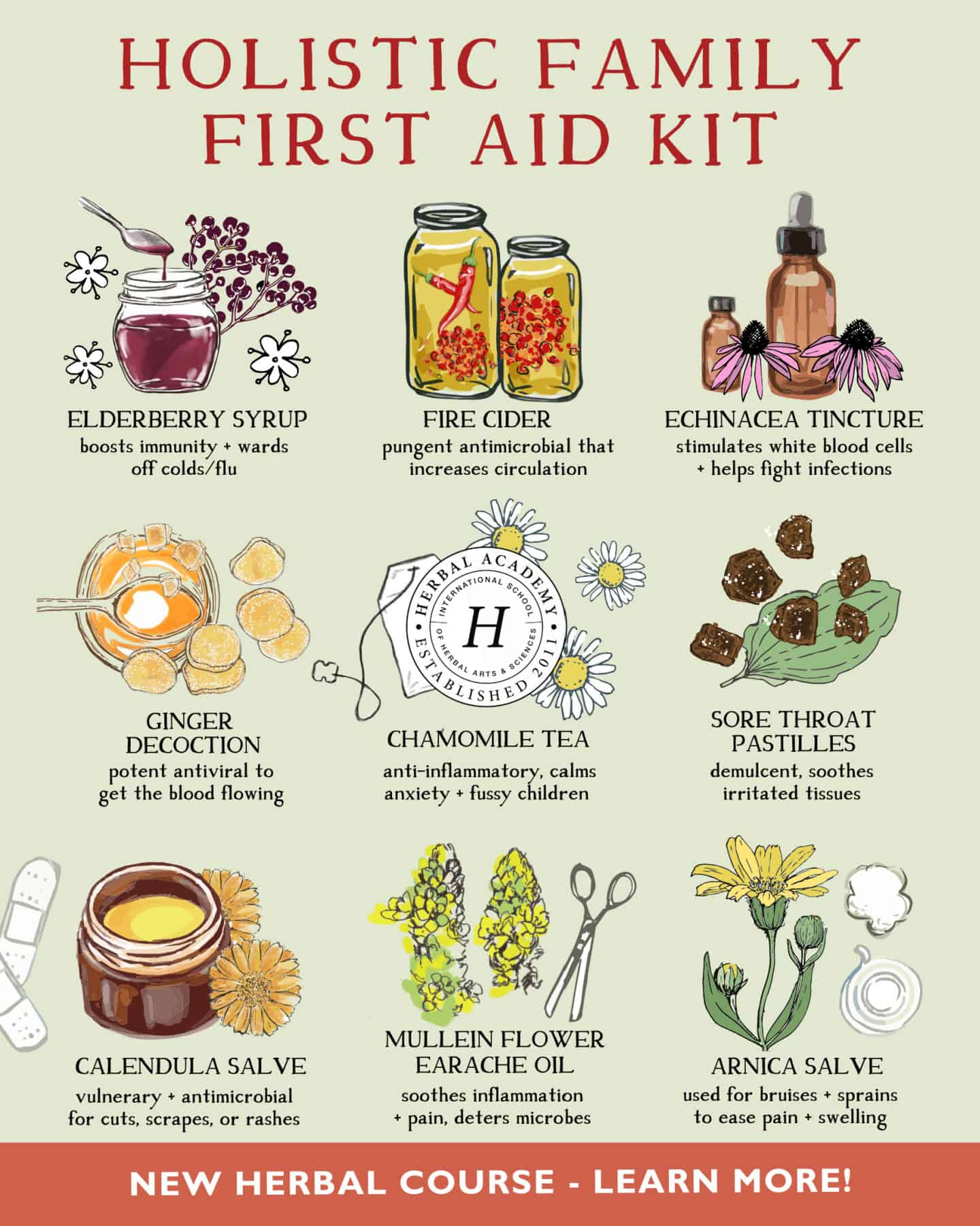 advertisement for the Holistic Herbal Care Course for Kids; decorative
