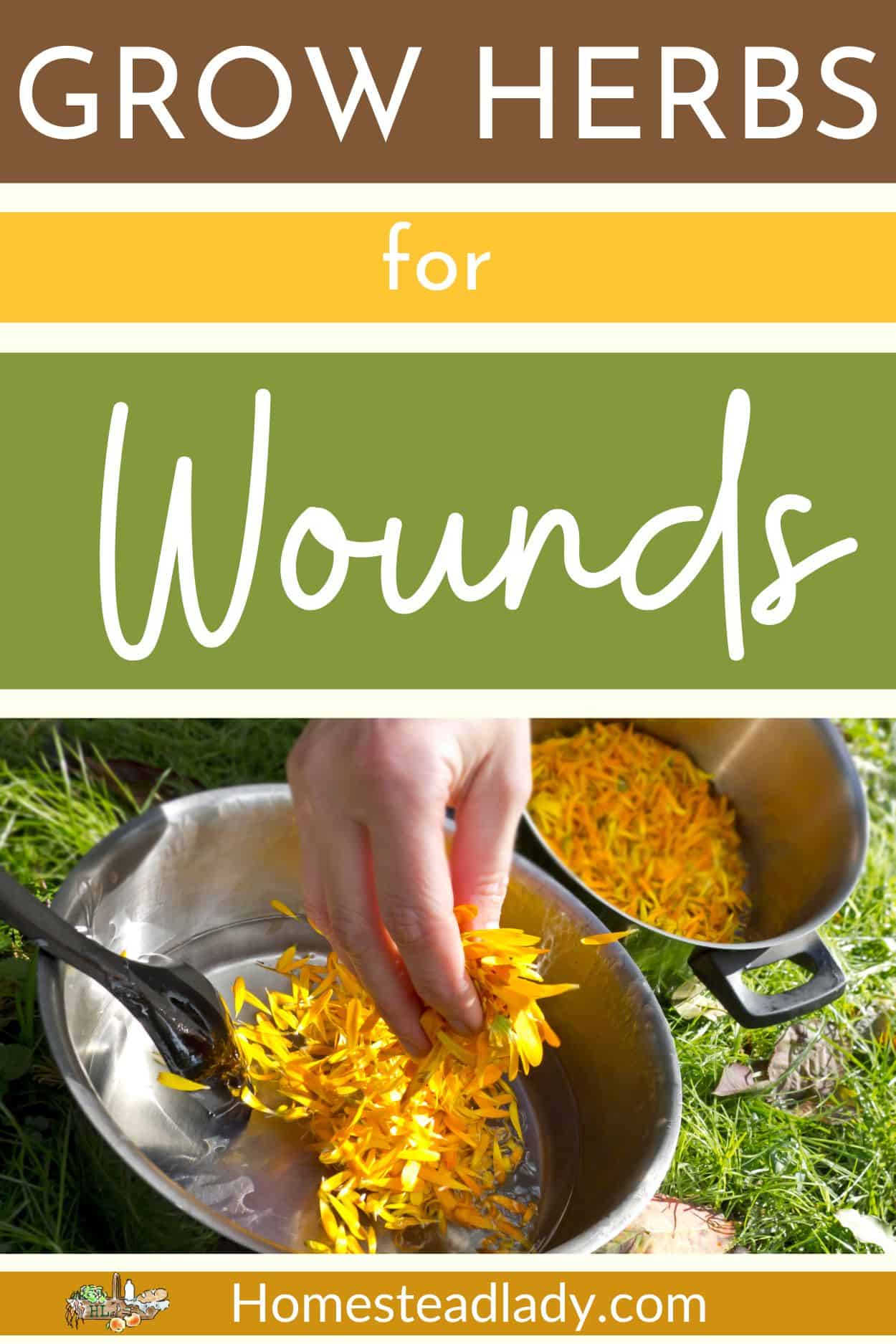 calendual blooms being put into a pot of oil