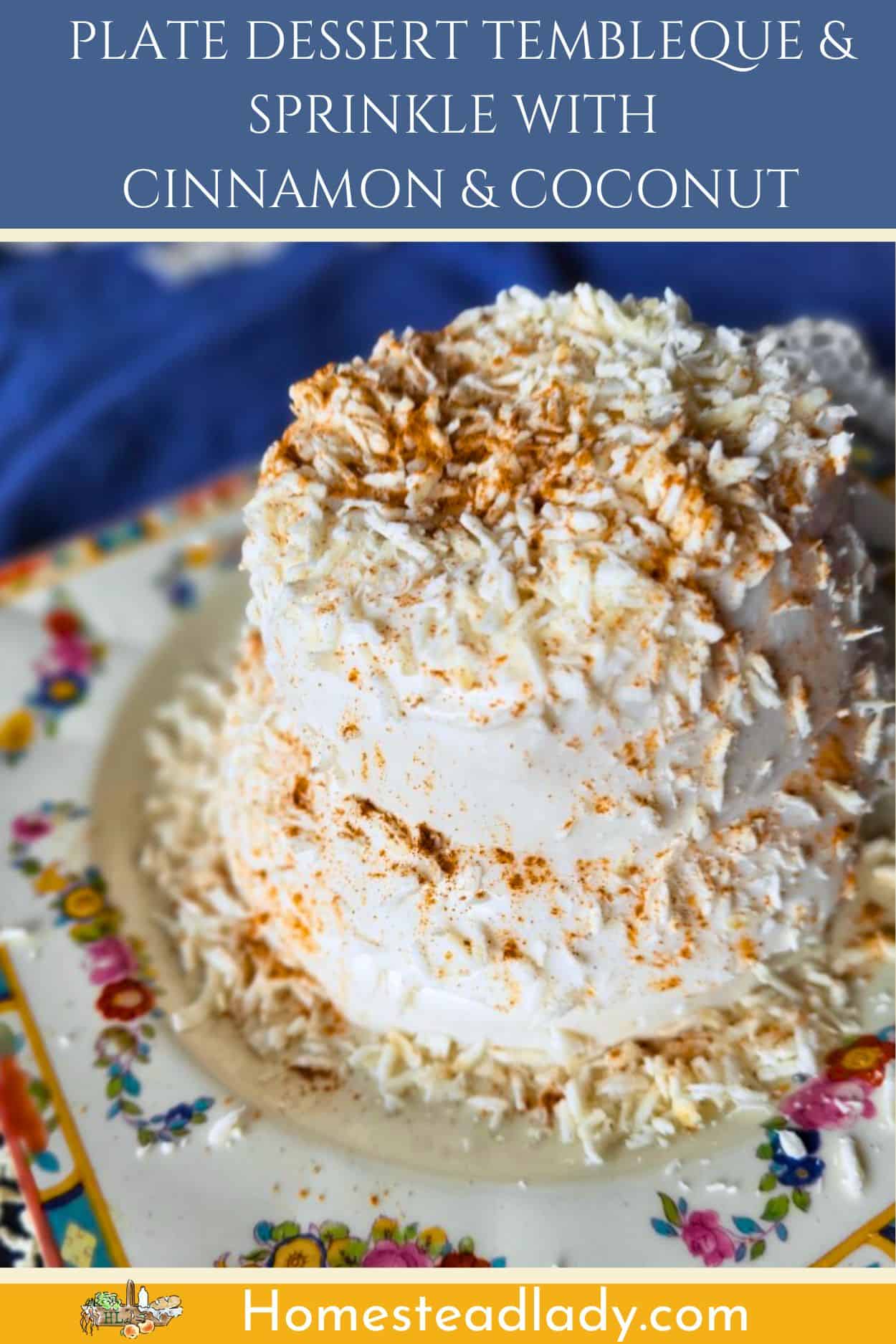 coconut milk dessert tembleque stacked and covered with cinnamon and coconut flakes on a plate