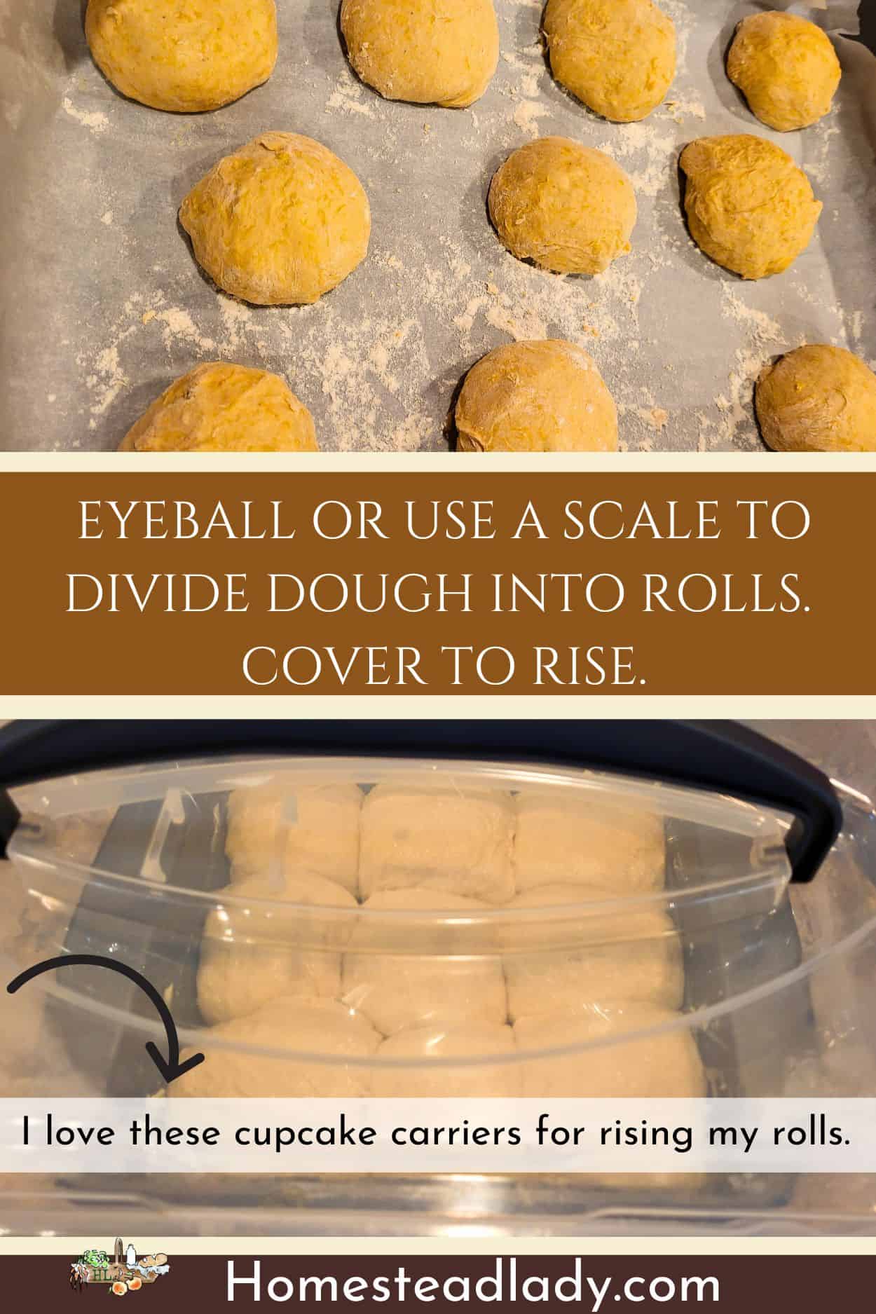 sourdough discard dinner rolls rising in a covered container