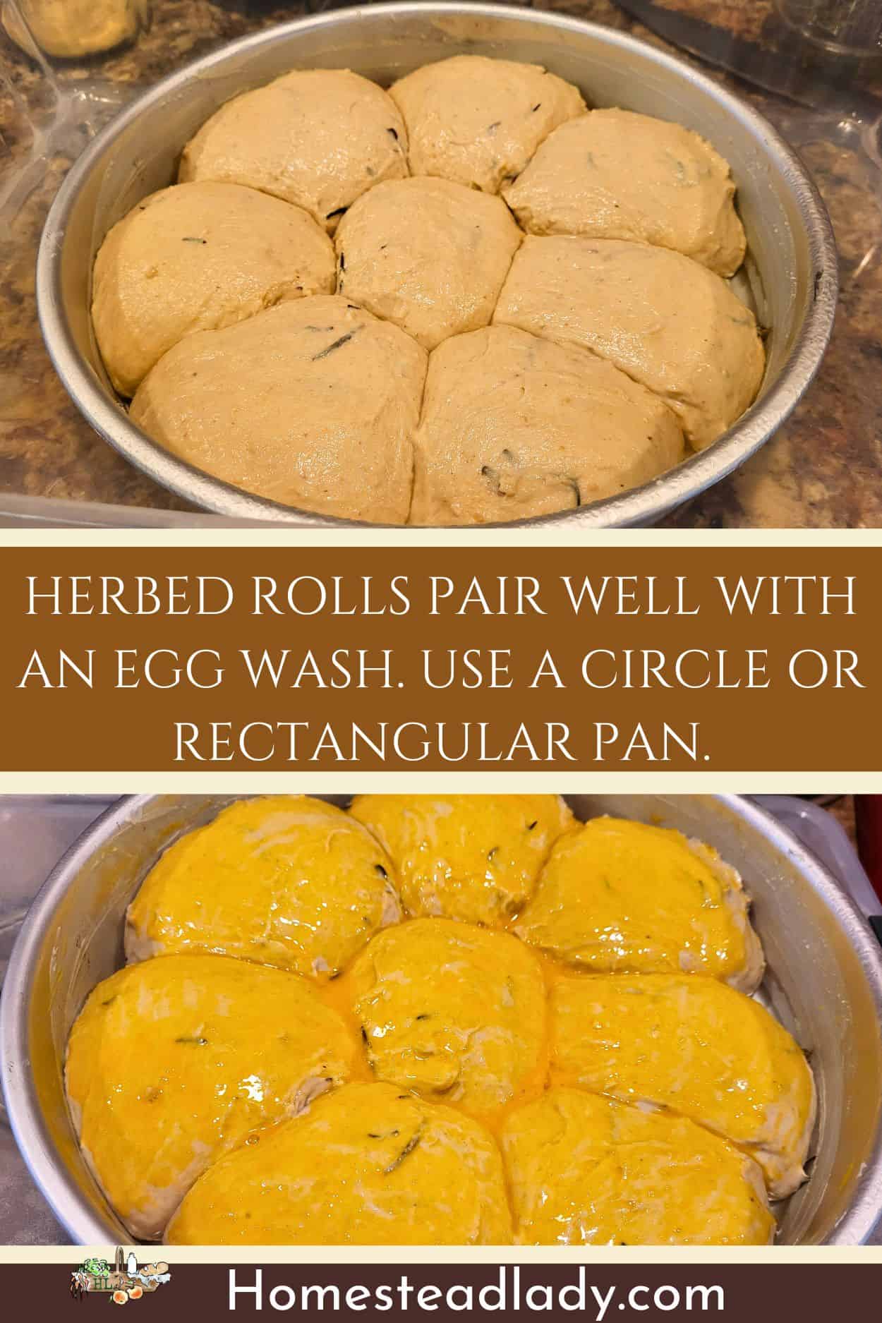 sourdough discard dinner rolls baked in a round pan