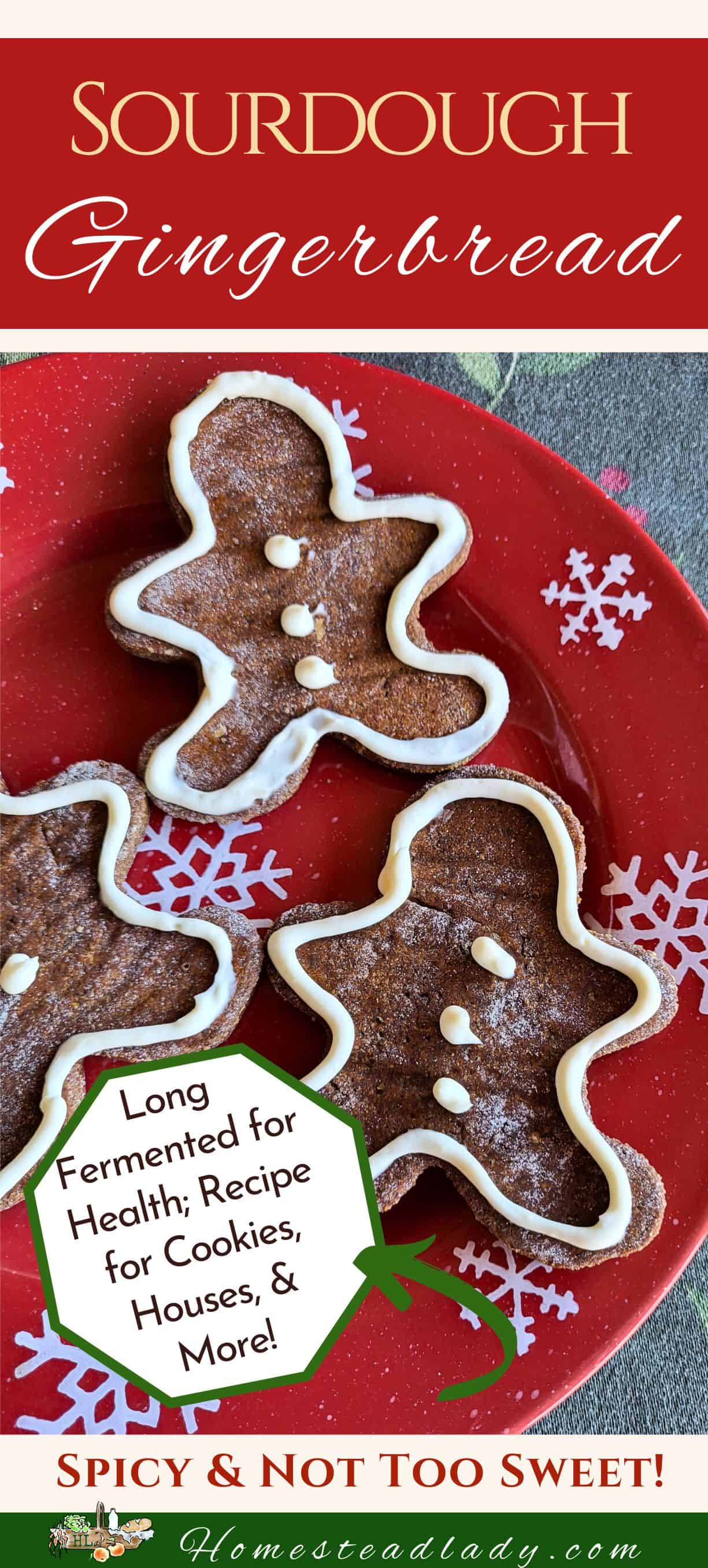 sourdough gingerbread cookies on a red plate and green tablecloth