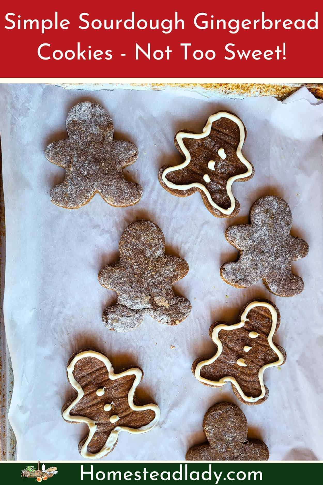 sourdough gingerbread cookies on a cookie sheet