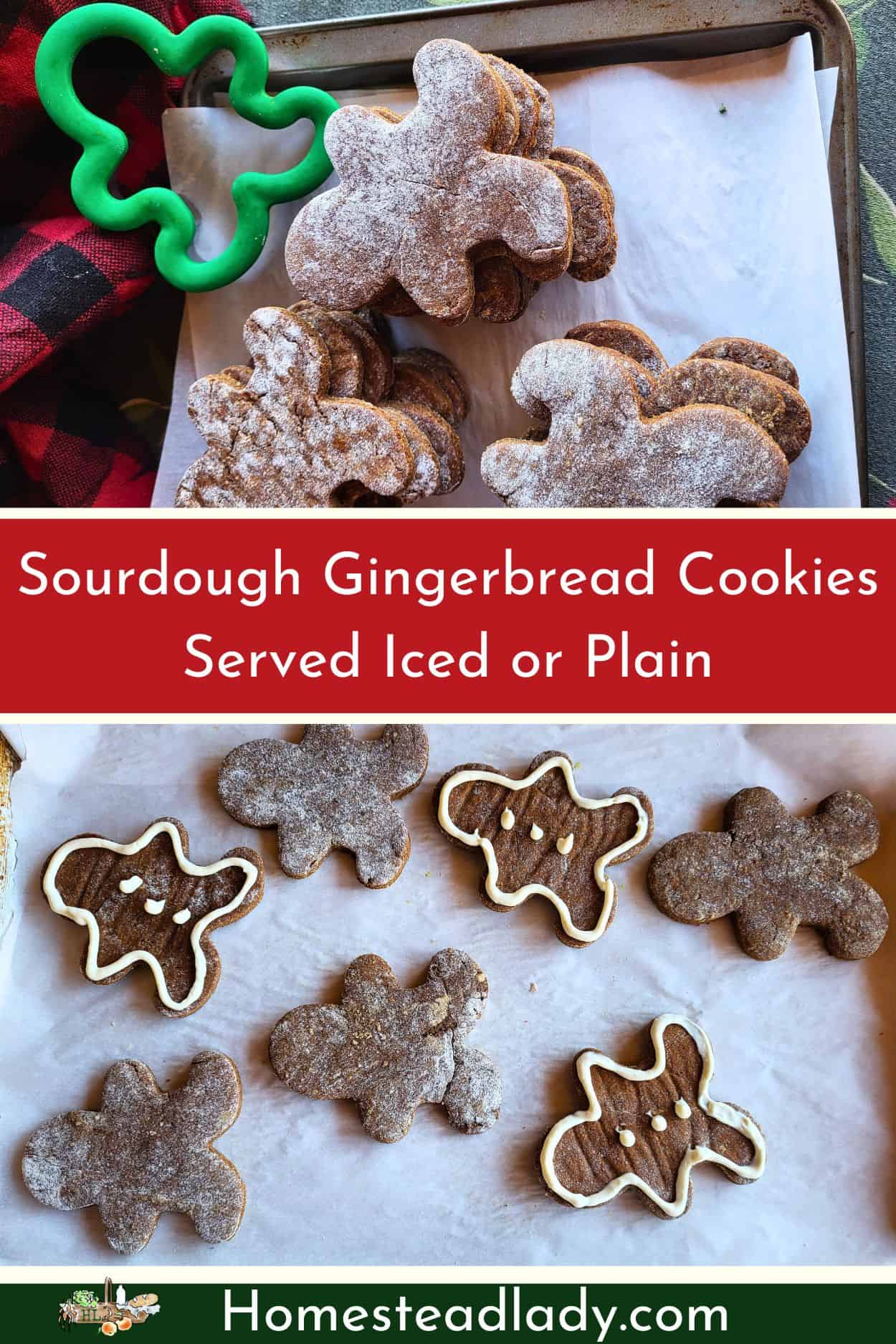 iced and plain sourdough gingerbread cookies on a tray