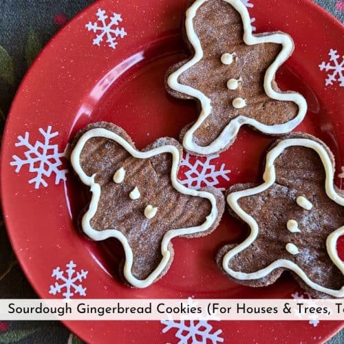 sourdough gingerbread cookies with icing on a red plate