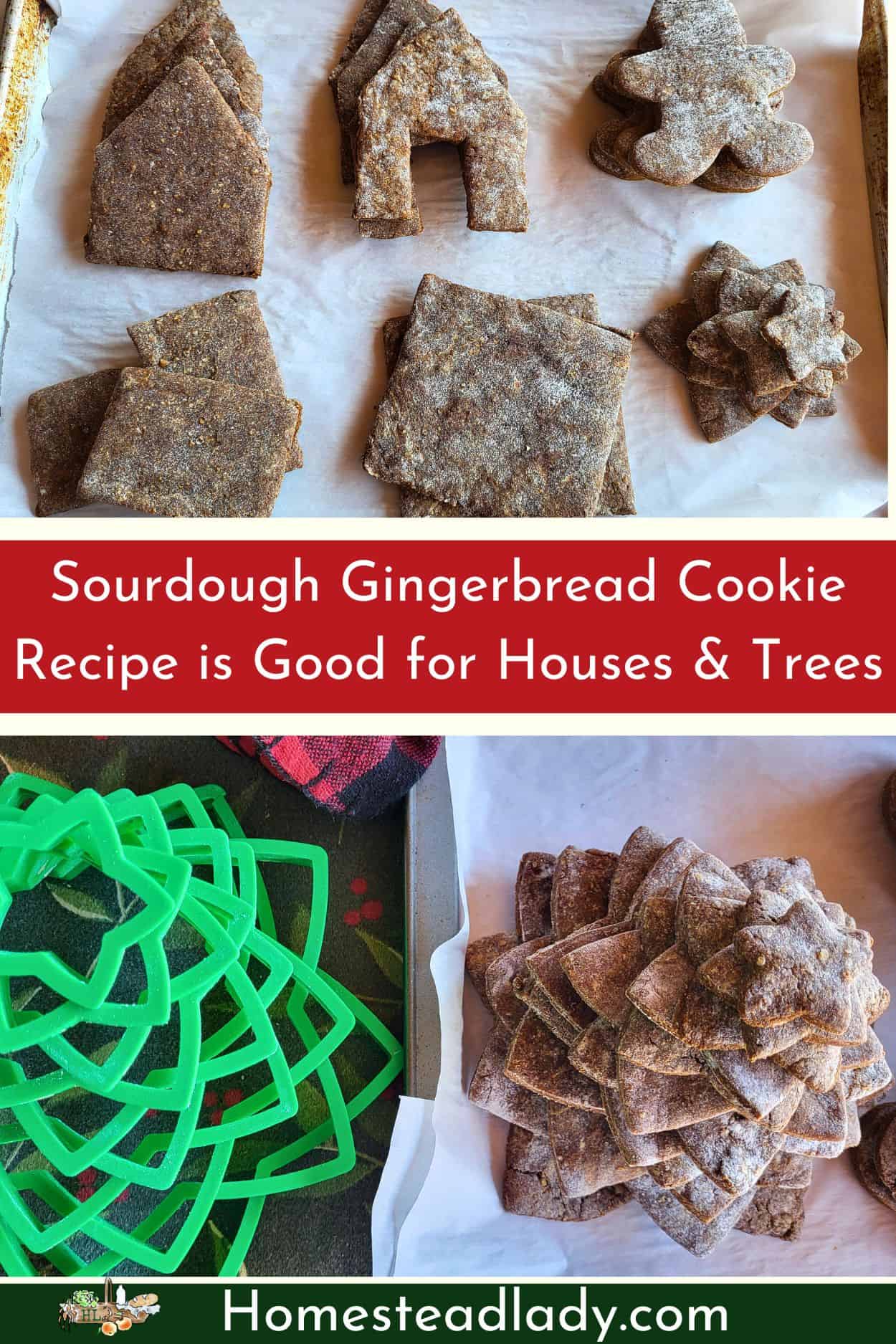 sourdough gingerbread cookie variety on a tray