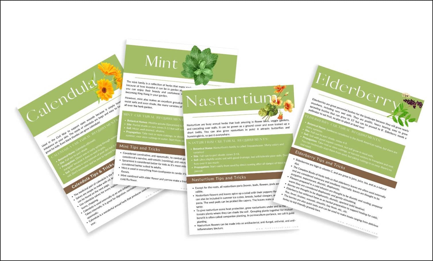 The Everyday Herb Garden herbal profile pages 