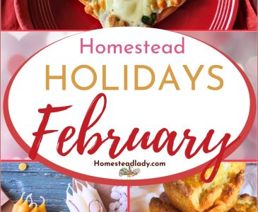 homestead holidays in february mixed images collage