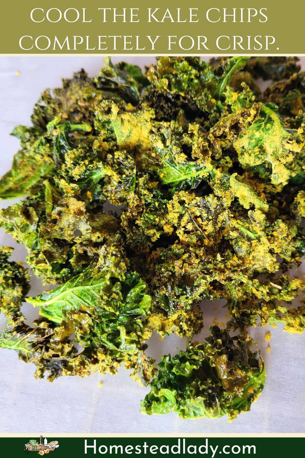 air fryer kale chips on a parchment paper cooling