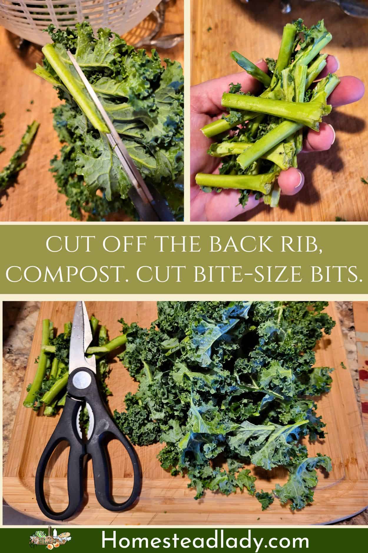 kale leaves being cut to make air fryer kale chips