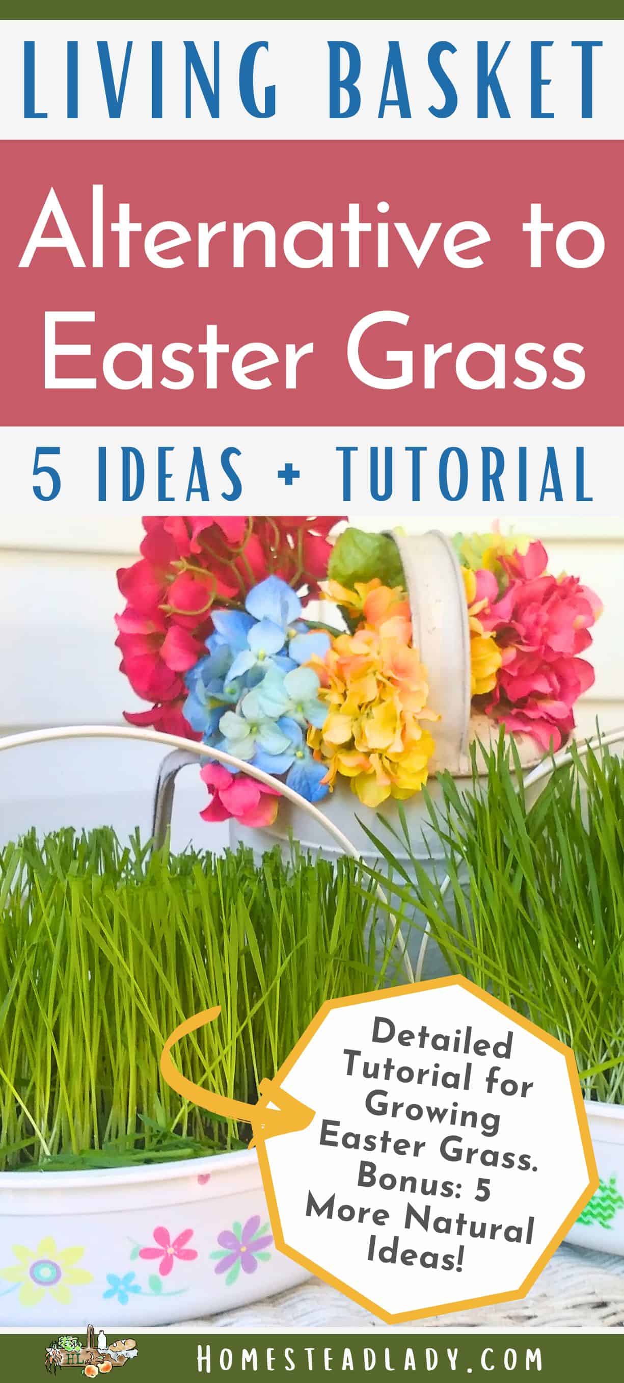 alternative Easter grass/living Easter grass in two white pails with flowers