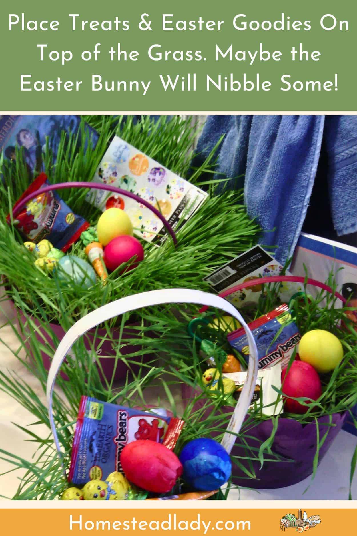alternative Easter grass/living Easter grass baskets filled with bright items