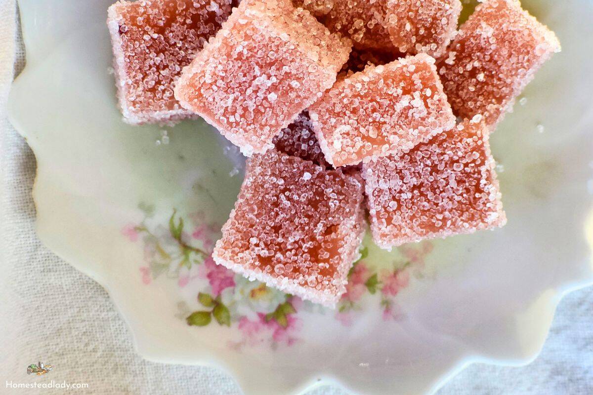 homemade gumdrops cut and on a small plate