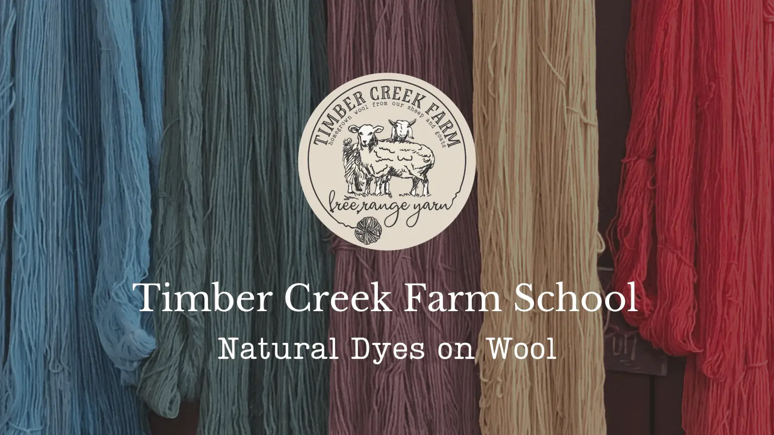natural dyes course logo with a yarn background