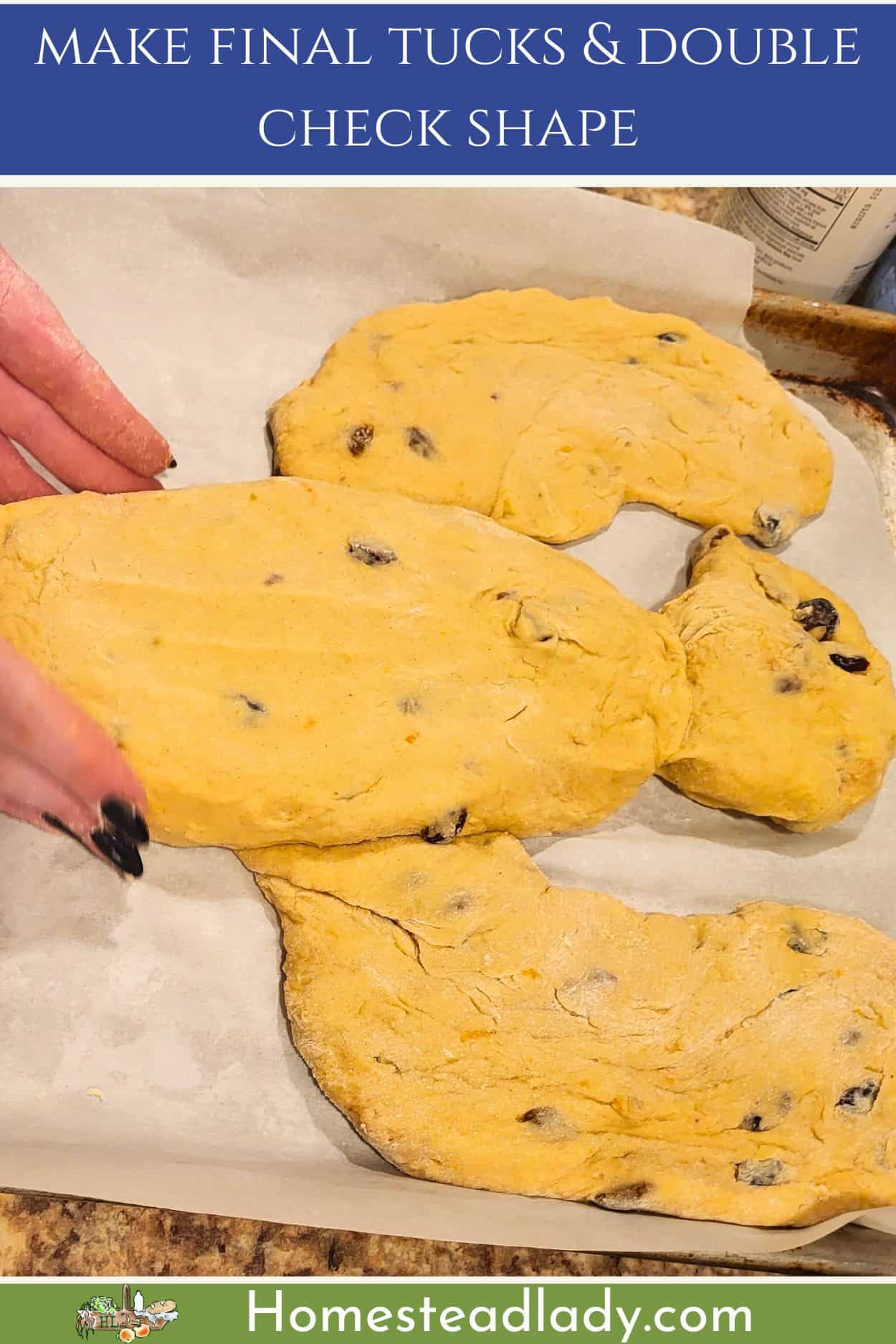 final shaping of the dove of sourdough Colomba Pasquale