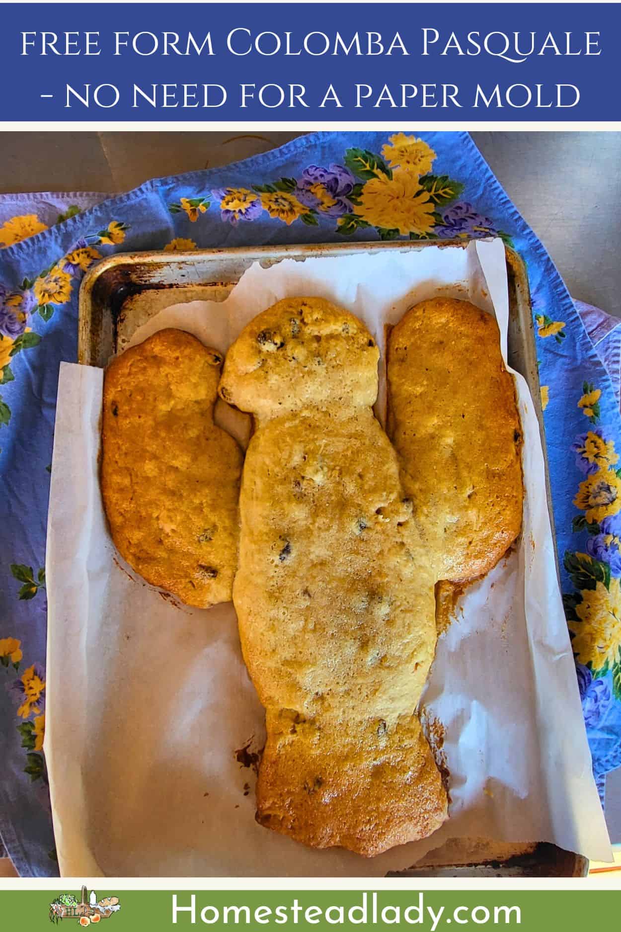 sourdough Colomba Pasquale baked on a baking tray