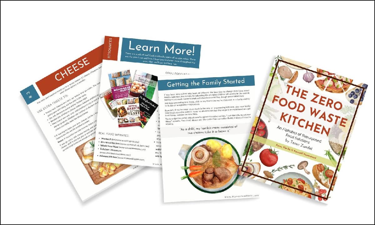decorative, zero waste food book pages