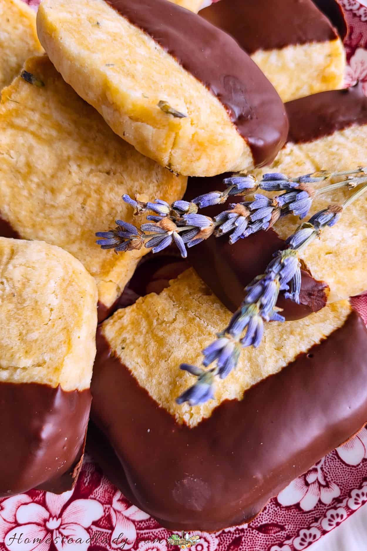 chocolate dipped lavender sourdough shortbread cookies on a flowered plate with lavender