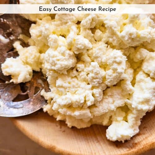 homemade cottage cheese in a wooden bowl with a silver spoon