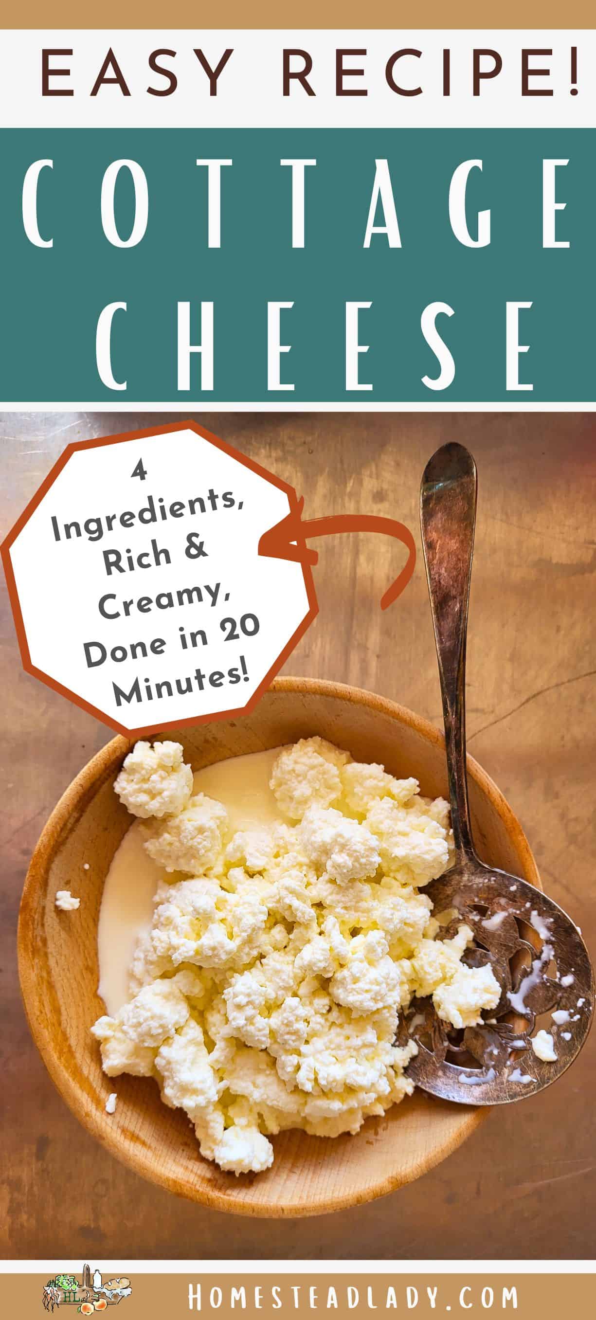 homemade cottage cheese in a wooden bowl with a silver spoon