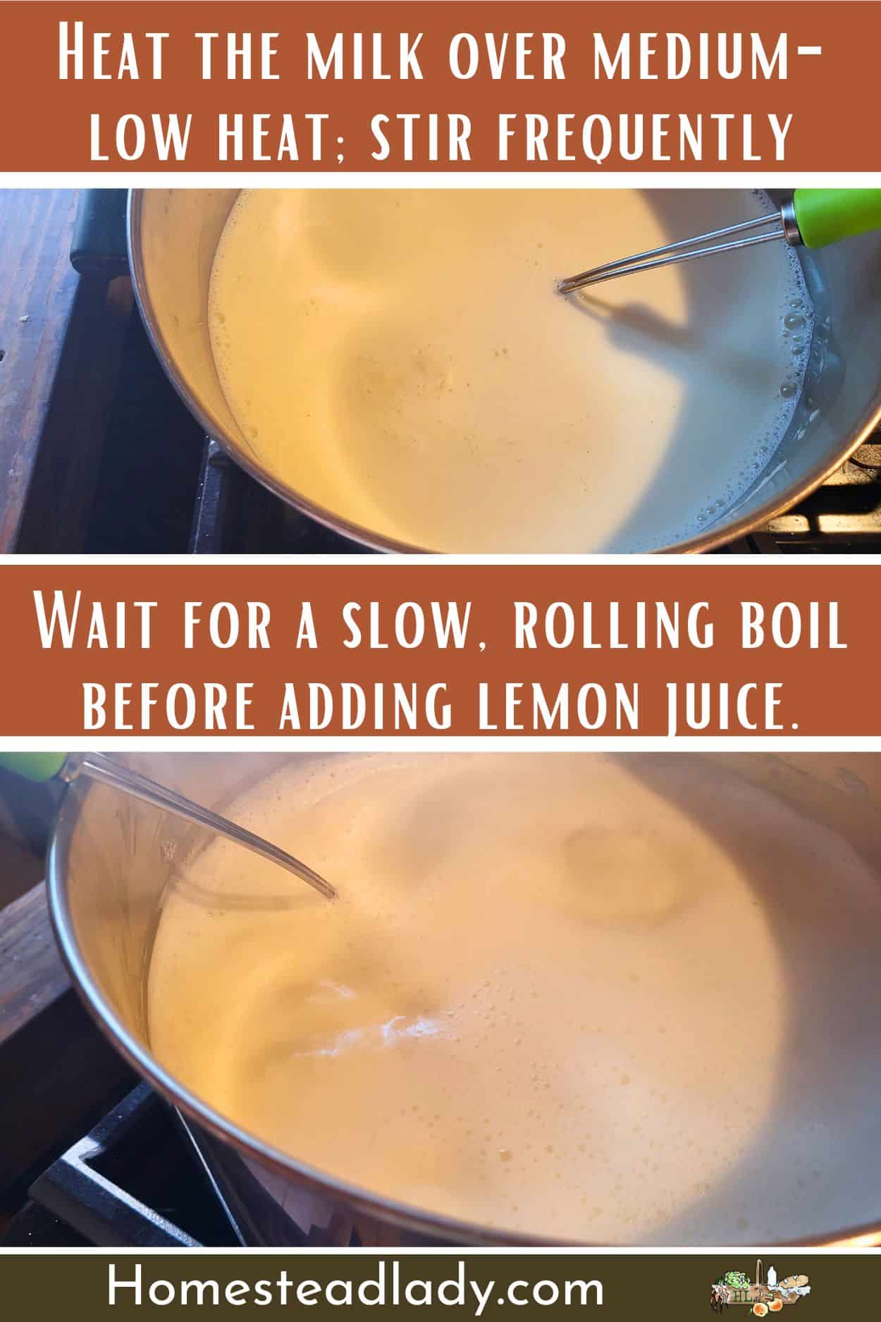 milk for easy cottage cheese heating slowly in a big pot on a stove