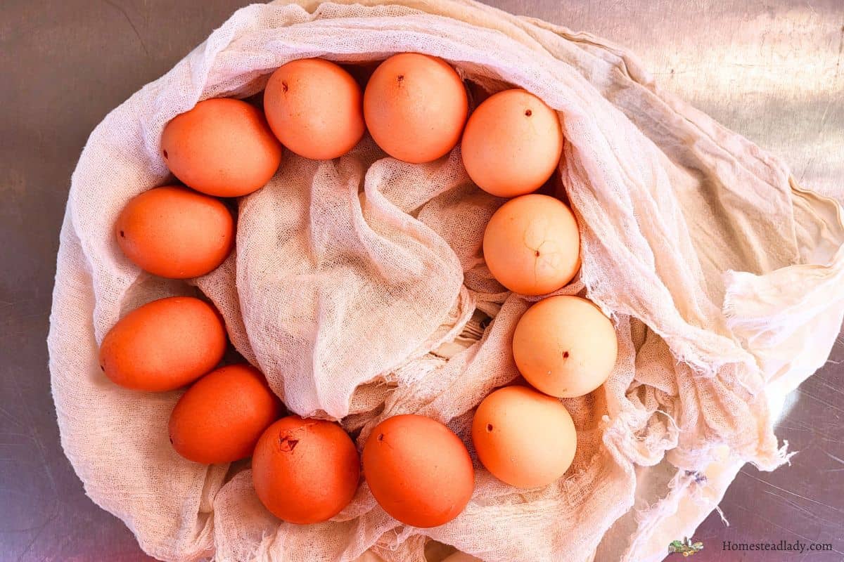 naturally dyed orange eggs in a circle