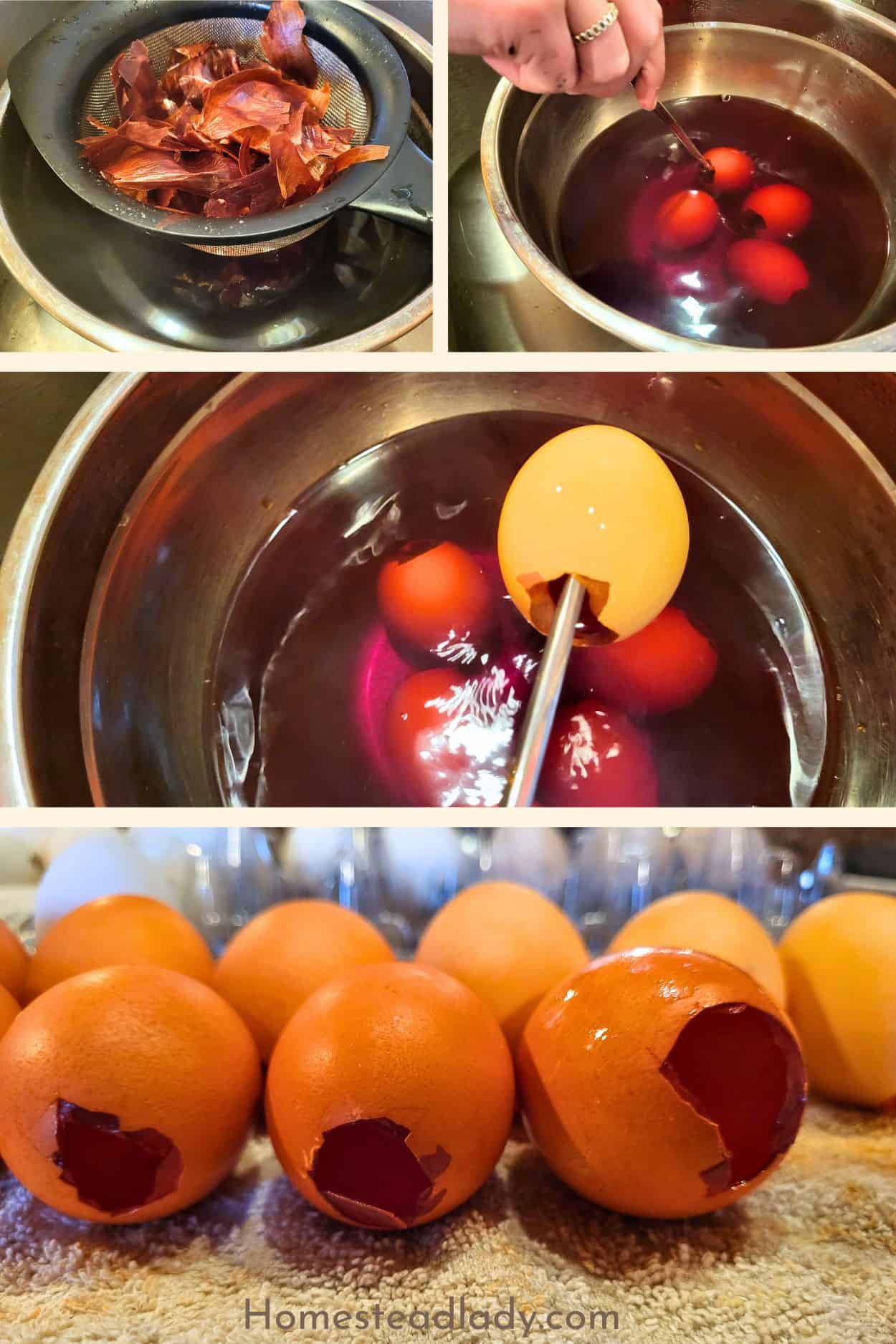 eggshells being dyed with onion skin dye