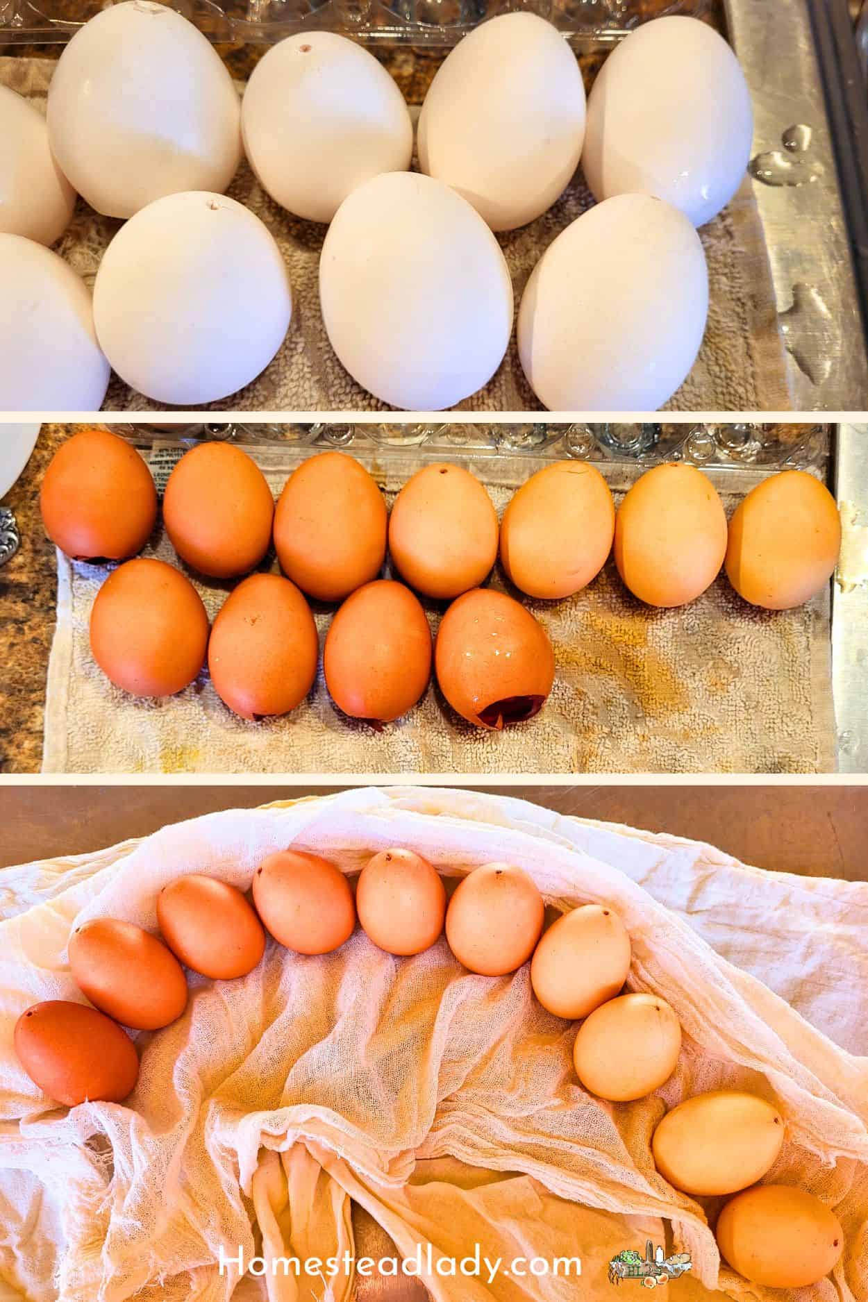 white eggs and naturally dyed orange eggs on a countertop 